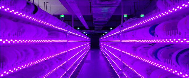 201909161050113619.jpg 201909161050113619.jpg