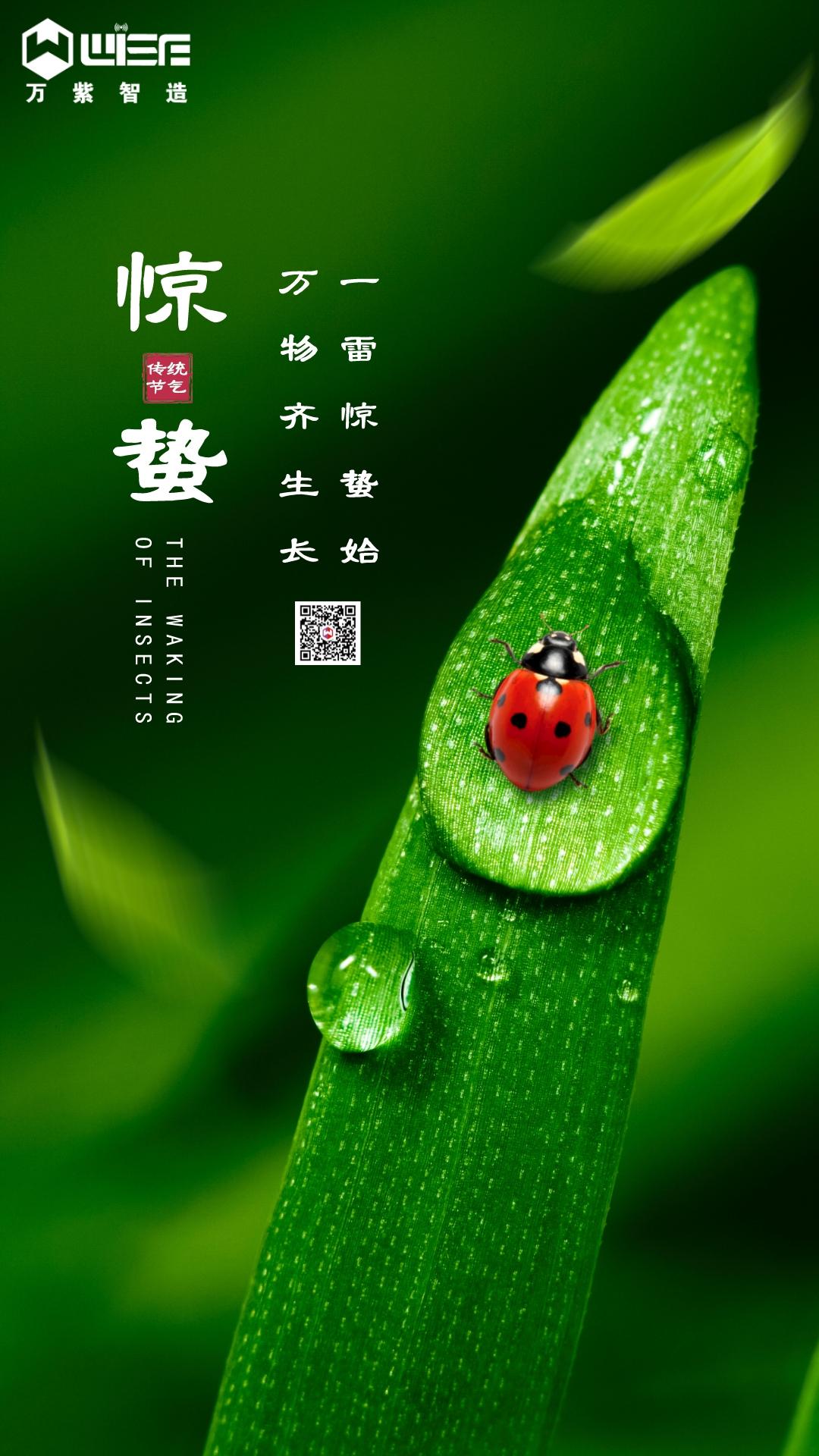 3.5鎯婅洶涓婚瀹d紶鍥炬枃椋庢墜鏈烘搗鎶_2023-03-06+10_04_09.jpeg 3.5鎯婅洶涓婚瀹d紶鍥炬枃椋庢墜鏈烘搗鎶_2023-03-06+10_04_09.jpeg