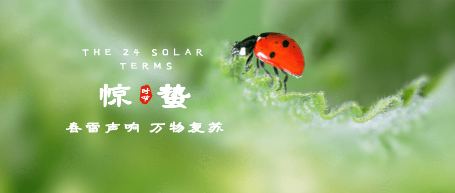 #惊蛰 🌿惊蛰��P��万物�?></a></dt>
<dd>
<h3><a href=